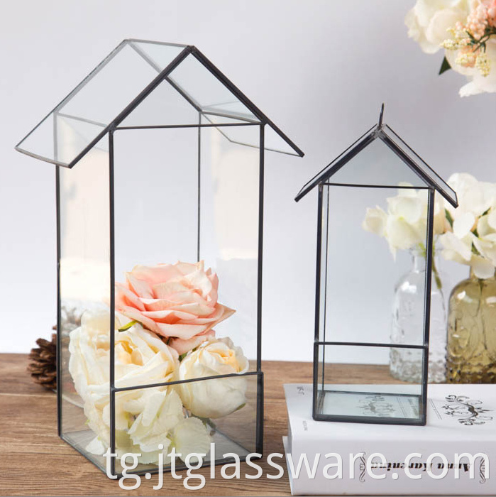 Hanging Glass Geometric Terrarium